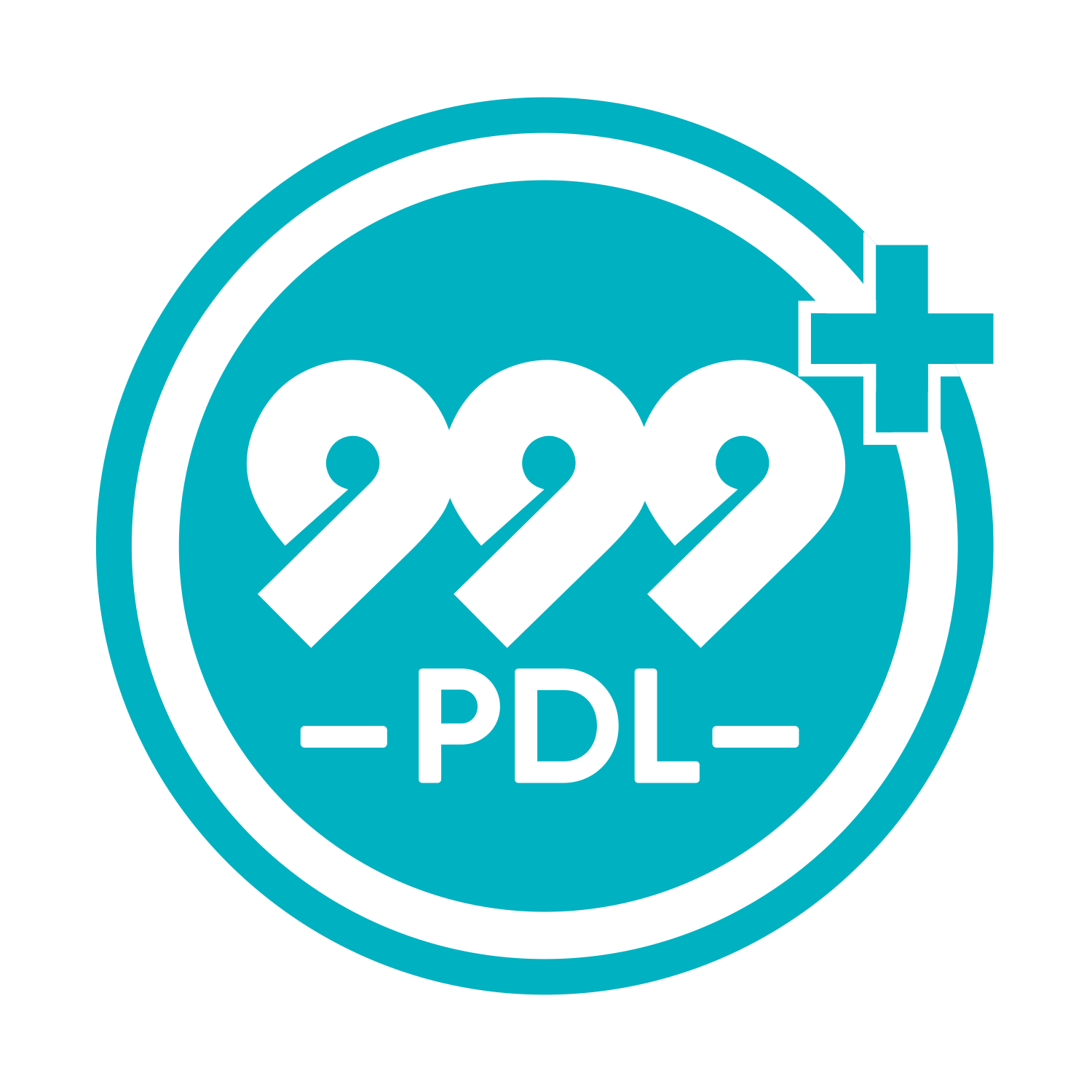 Login | PDL999+